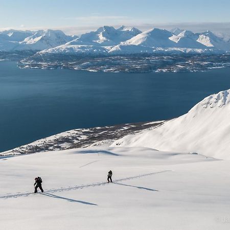Olderdalen Lyngenfjord, Froyas Husヴィラ エクステリア 写真