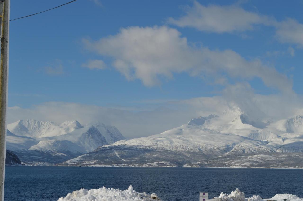 Olderdalen Lyngenfjord, Froyas Husヴィラ エクステリア 写真
