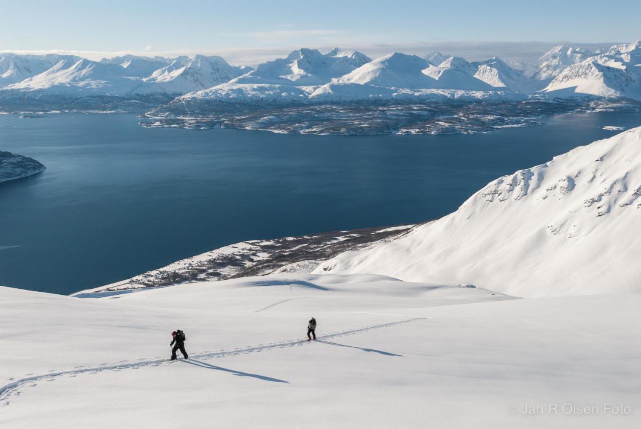 Olderdalen Lyngenfjord, Froyas Husヴィラ エクステリア 写真