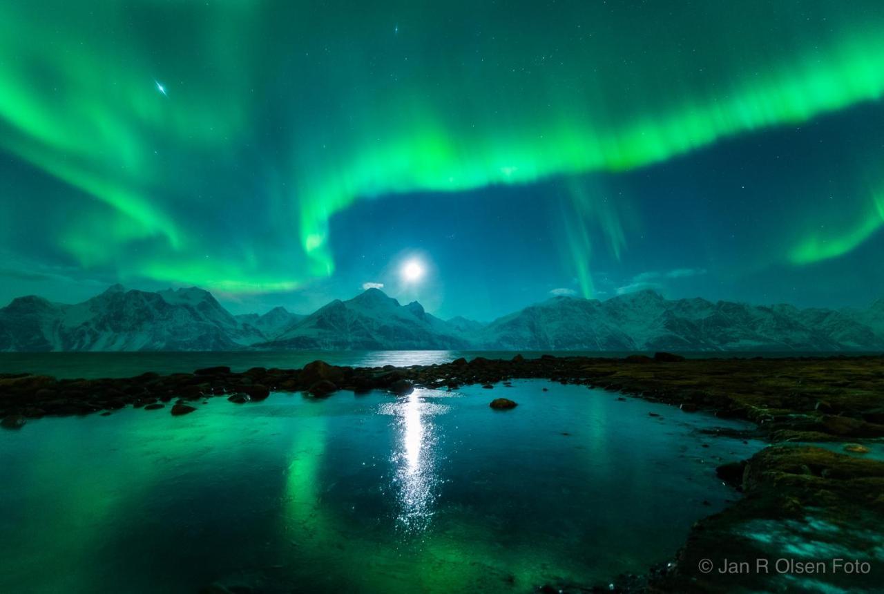 Olderdalen Lyngenfjord, Froyas Husヴィラ エクステリア 写真